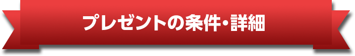 プレゼントの条件・詳細