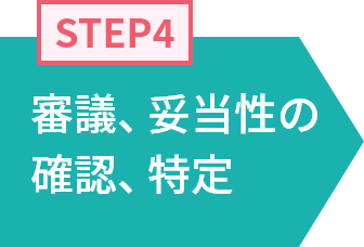 STEP4 審議、妥当性の確認、特定