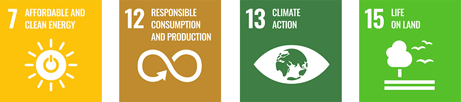 7 AFFORDABLE AND CLEAN ENERGY 12 RESPONSIBLE CONSUMPTION AND PRODUCTION 13 CLIMATE ACTION 15 LIFE ON LAND